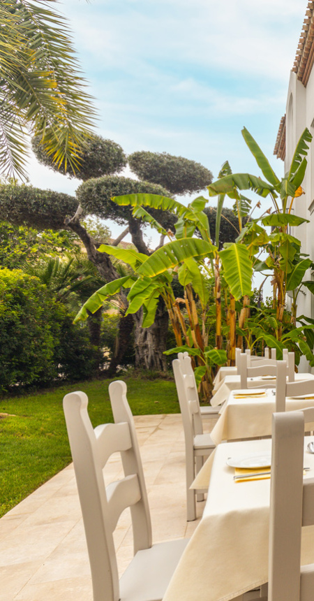 Ristorante all'aperto con tavoli apparecchiati, circondato da palme e vegetazione tropicale.