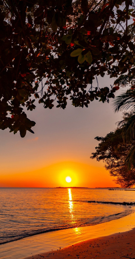 Tramonto su una spiaggia tropicale con alberi e un relitto in mare.